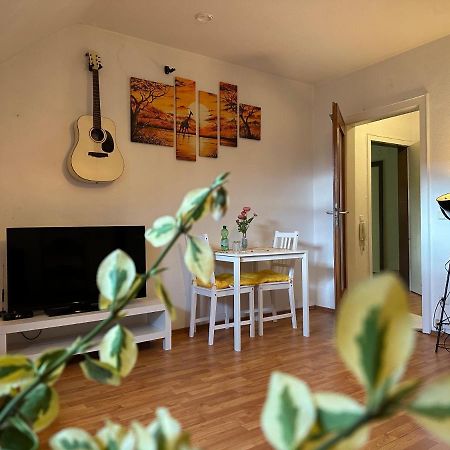 Kleine Oase In Essen-Sued Lägenhet Exteriör bild